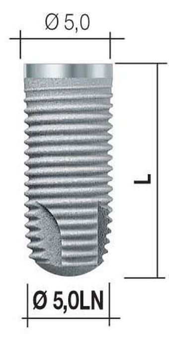 Bone SystemLN main image