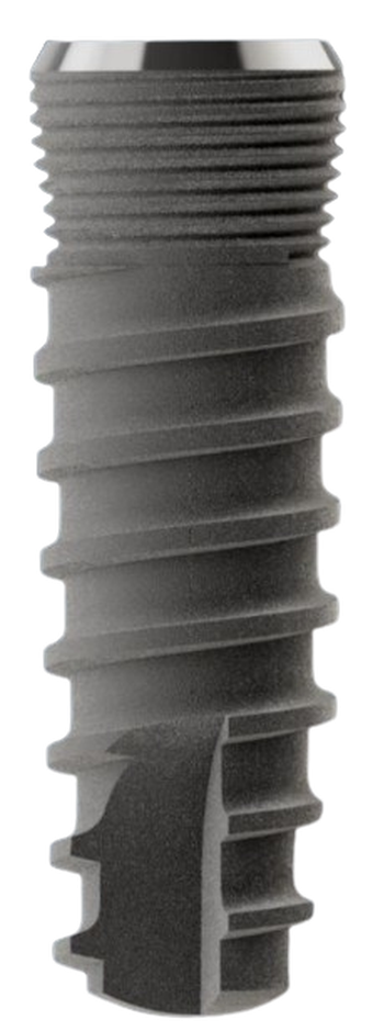 Seventeen main image