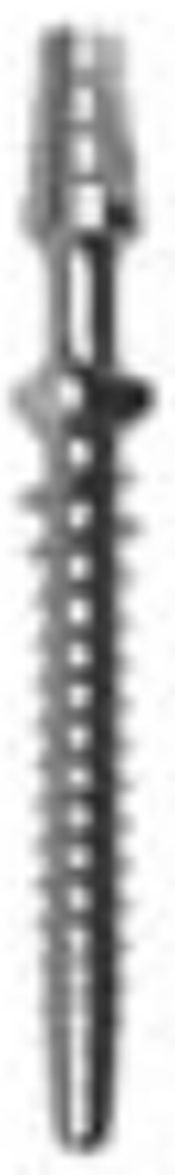 Semados Provisional main image