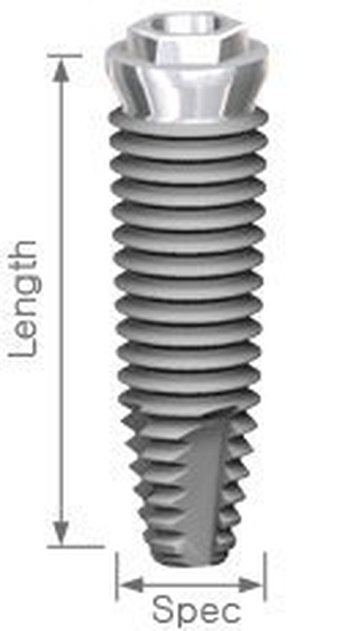 Apolonia External Tapered Type main image