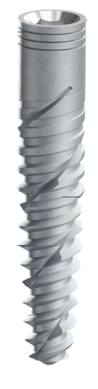 Ptrygoid main image