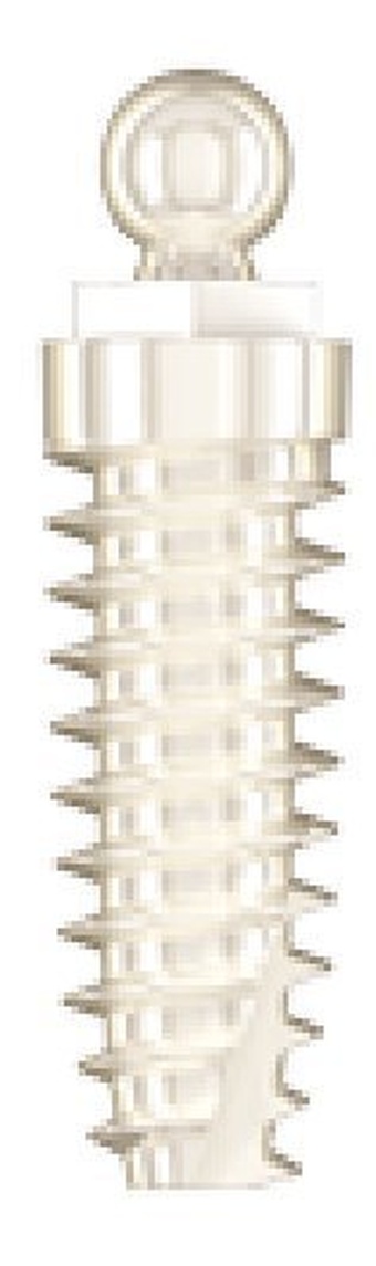 Denti Circonium (DC) main image