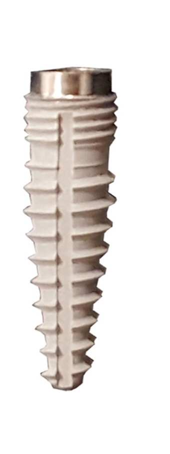 Impianto TMI (True Max Implant) C1 main image