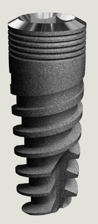 Rapid main image