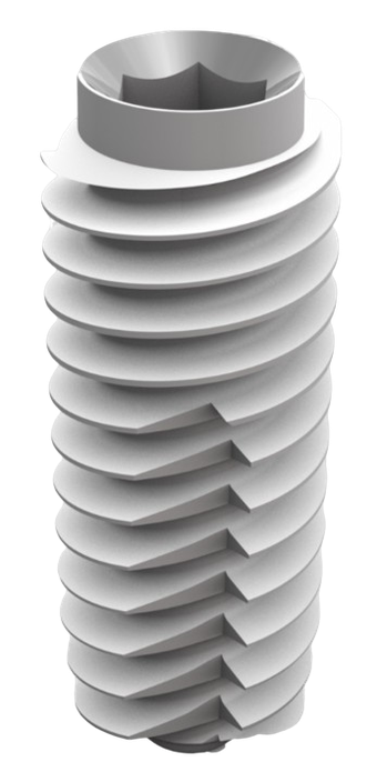 D4 TYPE BONE (D4H) main image