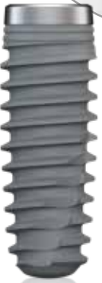 Isy Kone Int main image