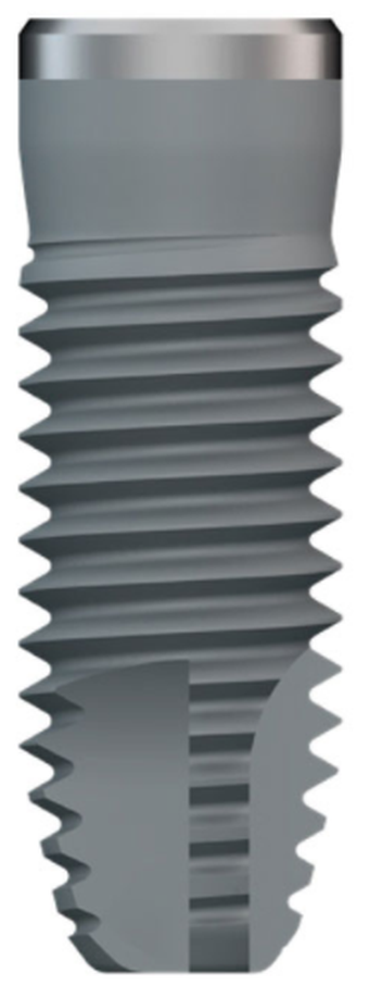 BT Klassic Int main image