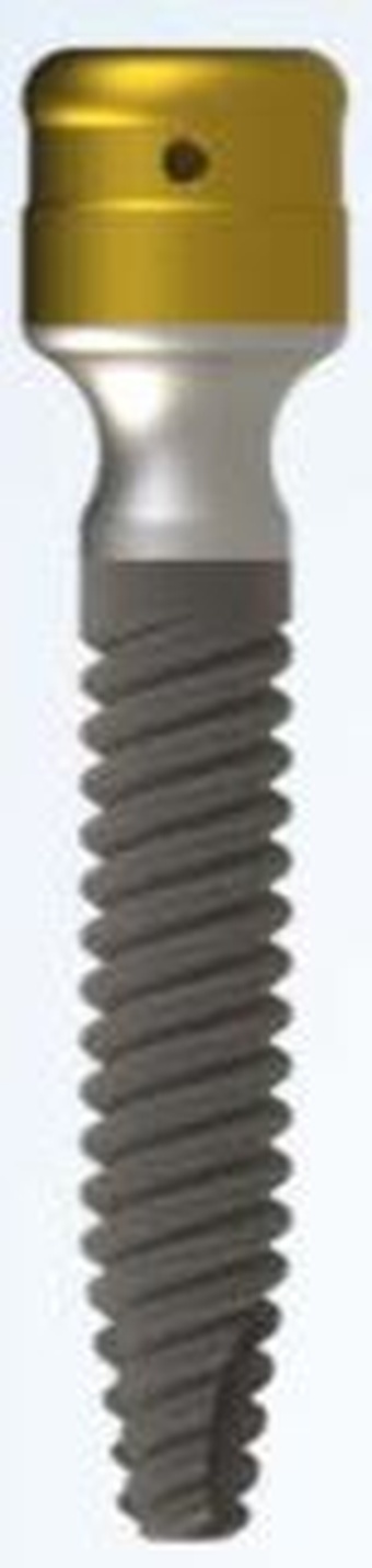 Especial (overdenture) main image