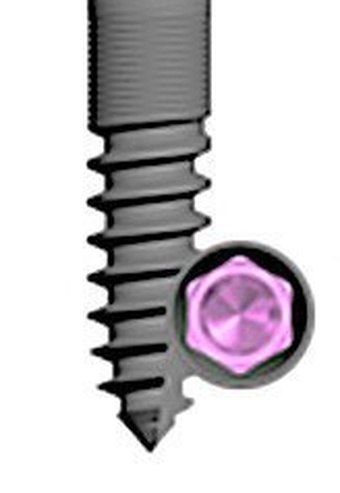 BIO | Max Mini (NobelActive Compatible) main image