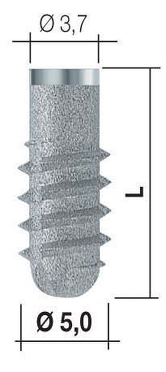 Bone System main image