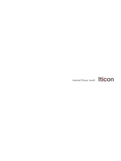 Iticon_inaternal_catalog_eng.pdf
