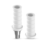 Castable restoration