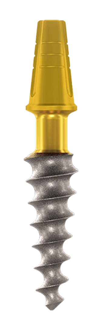 Root-shape Compressive main image