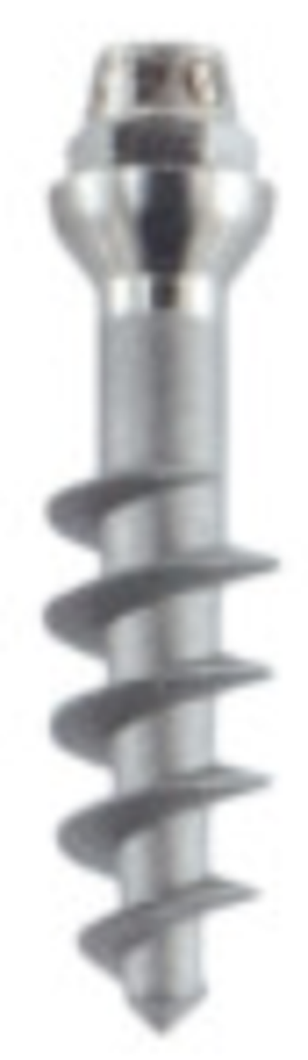 D main image
