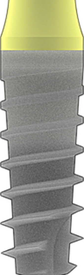 Prama RF SL main image