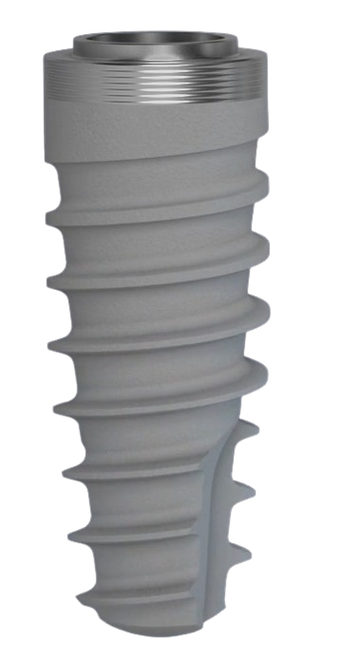 Shelta Power main image
