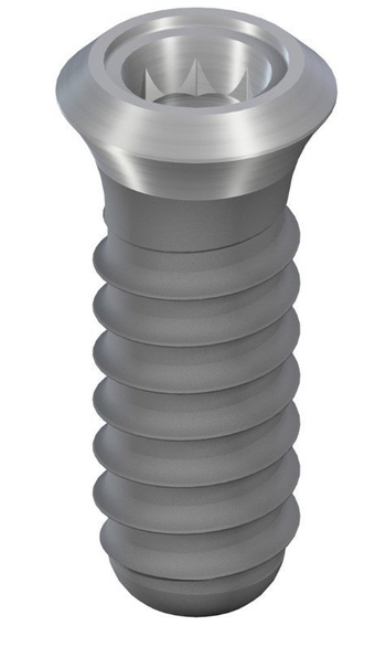 Standard Plus main image