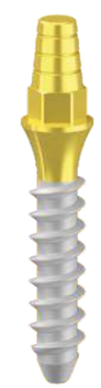 MM main image