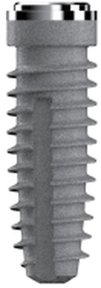 Zitan Line Conical main image
