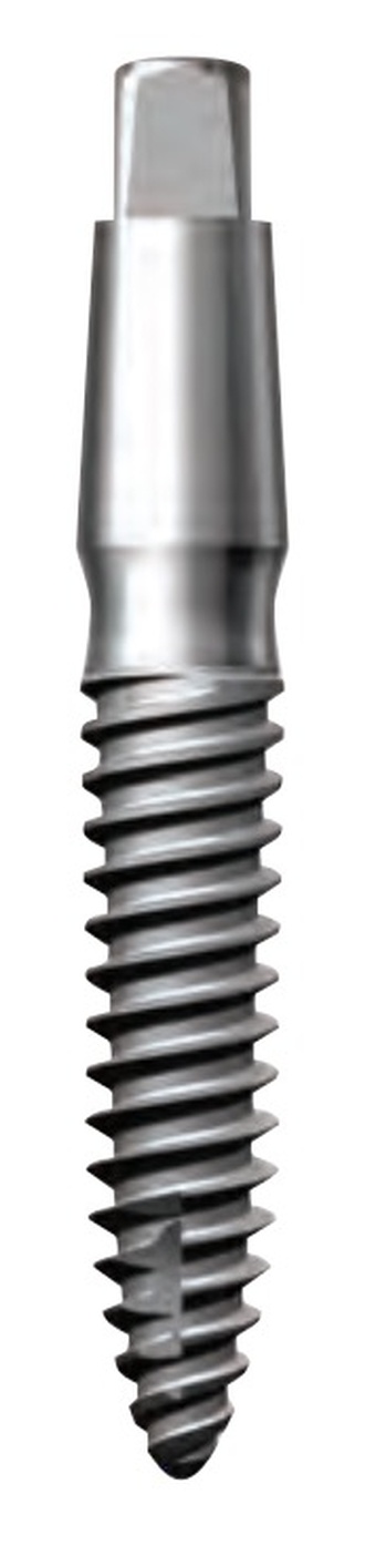 SlimLine (Fix Type) main image