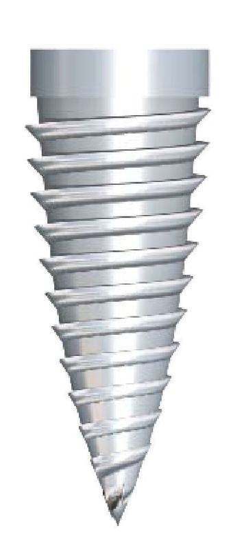 Maxi Z main image