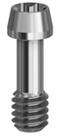 Abutment screw