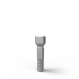 Prosthetic screw