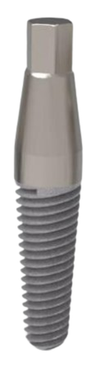 One Piece main image