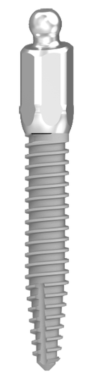 ILZ main image