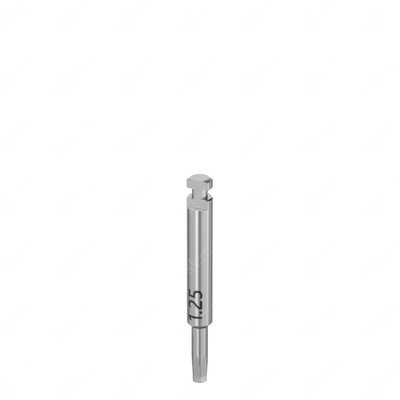 Handpiece screwdriver