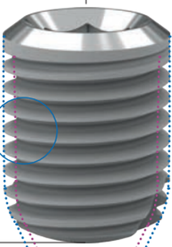 Zinic Shorty main image