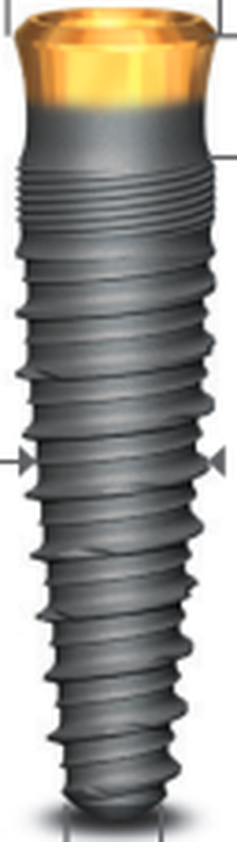 Gold&Blue Conical Long Neck main image