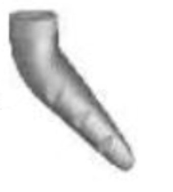 Bioform (Angulated implant) main image