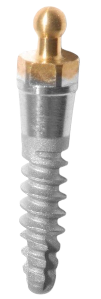 Mini Implant main image