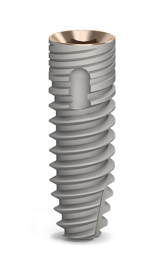 Spirit main image