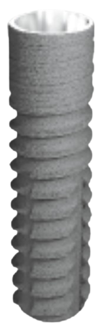 Bone Level 3.3 main image