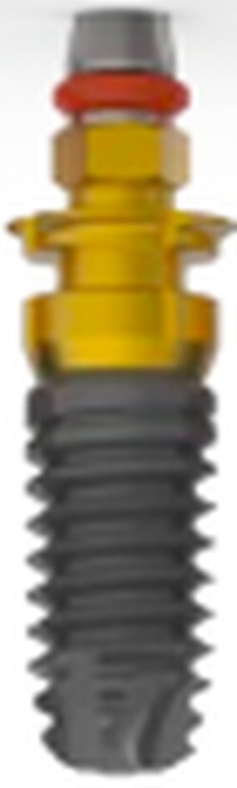 Universal Plus Interna main image