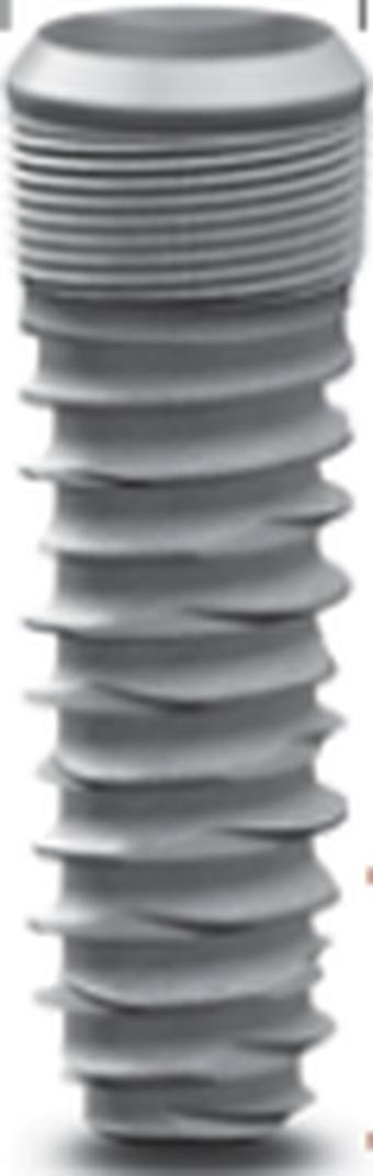 Blossom Index Cylindrical main image