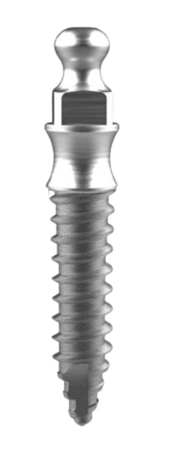 MR Denture Type main image