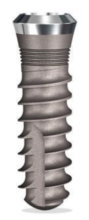 SwishPlus main image