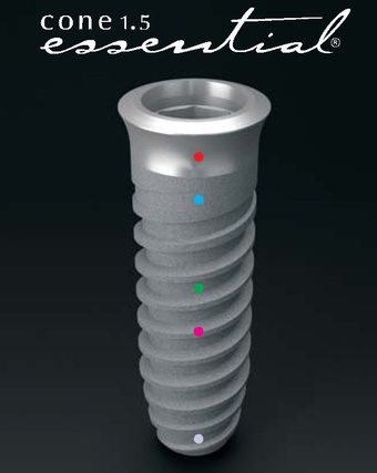 Essential Cone main image