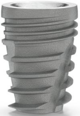 Denti Kone Short (DKS) main image