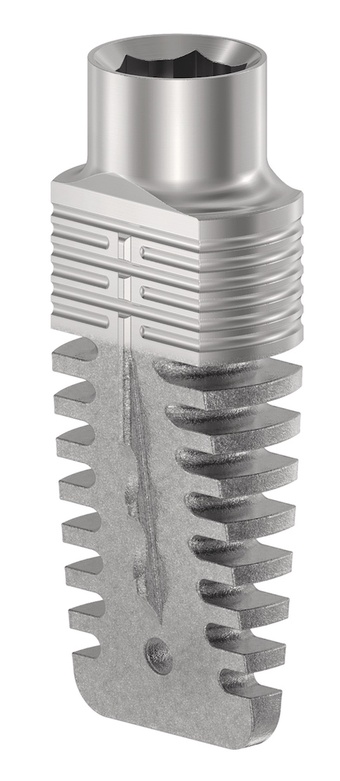 Rex TL 2.9 main image