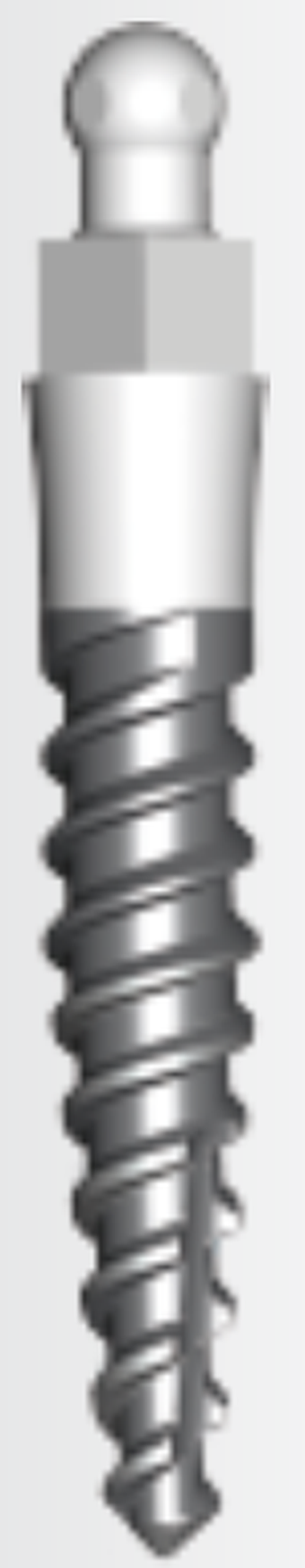 Wide thread mini implant main image
