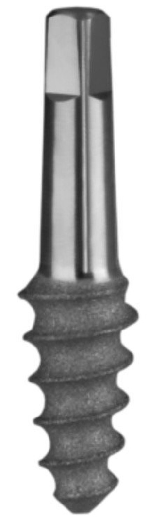 KOS D main image