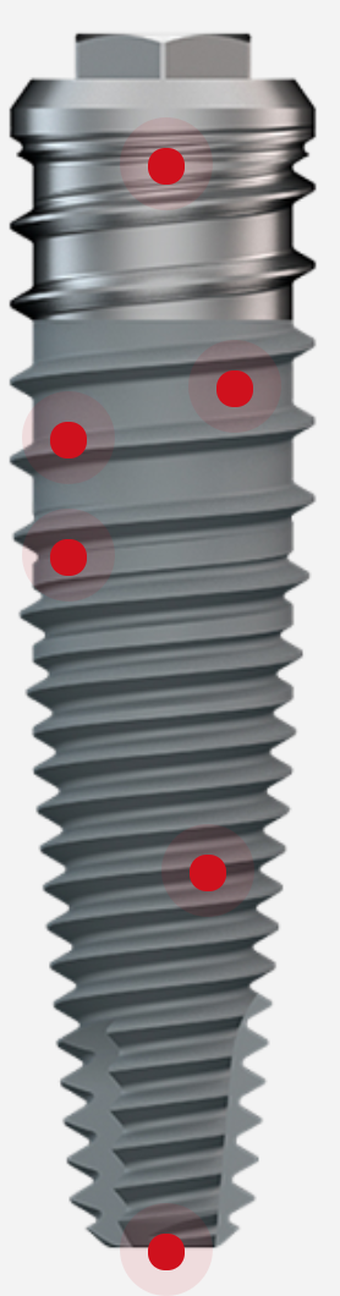 BT Ptérigo main image