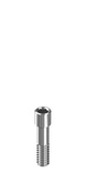 Abutment screw