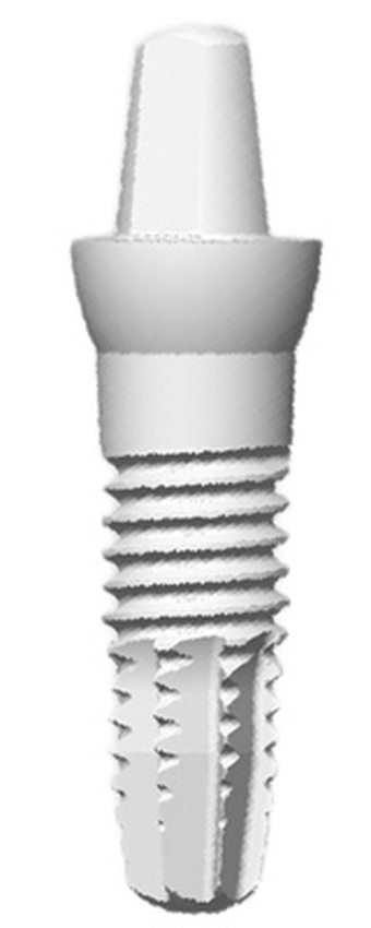 ZIR ROC VISSE (IZV1 Diamant) main image