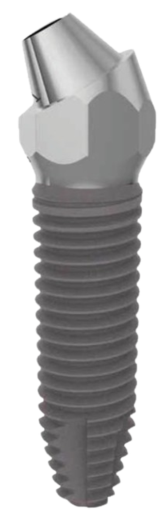 Bio Art Uno (angled abutment) main image