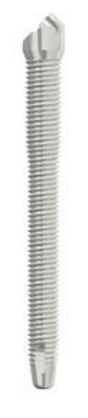 Zigomatic CM main image